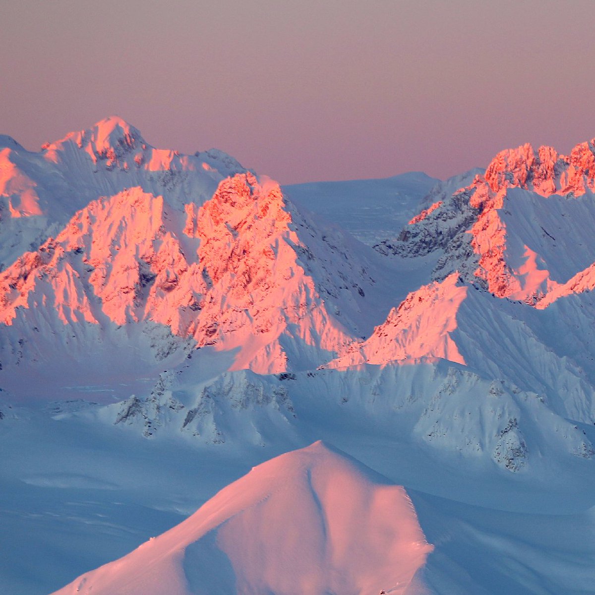 Tordrillo Mtn Lodge tweet media