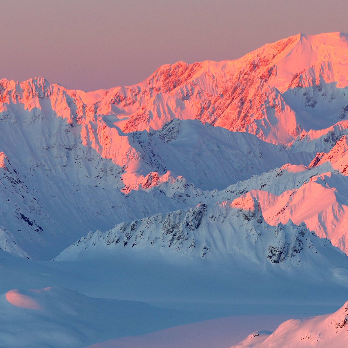 Tordrillo Mtn Lodge tweet media