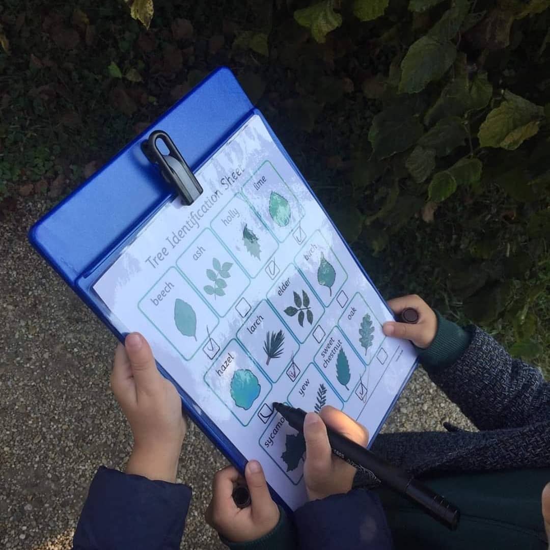 CSBucharest's tweet photo. Year 1 has been learning about plants and trees. Our botanists visited the Bucharest Botanical Gardens and went on a treasure hunt for different types of flowers and trees. It was a great opportunity for students to explore the world around them! #CSBYear1 #CSBScience https://t.co/DSQYfxj2tN