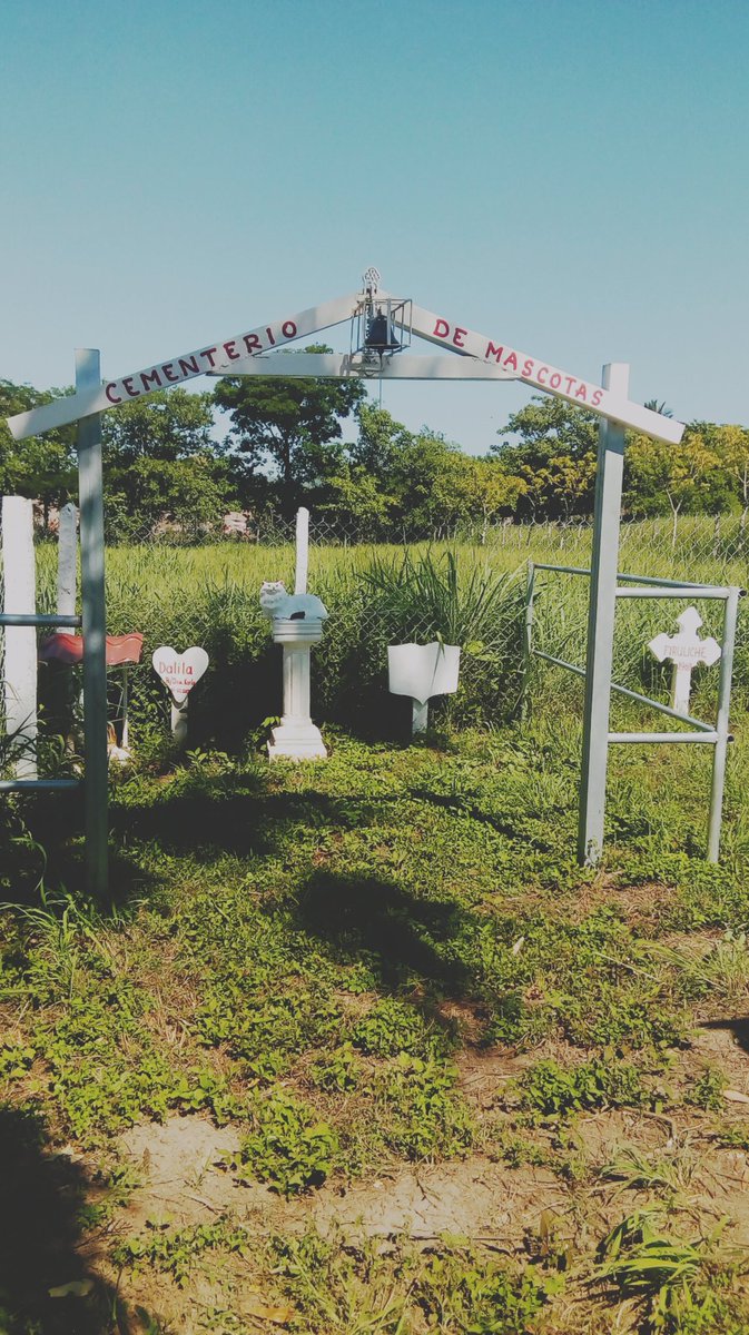 AndreaF503's tweet photo. #Texistepeque
#ElSalvador
#LaGranjademisAbuelos
#CementeriodeMascotas
Donde están animales que han sido reconocidos por ser compañeros fieles. Ahí sus huesos empedrados bajo tierra, siendo forrados por verde monte que es regado por la lluvia de cristal. https://t.co/Y7iUX5cRqE