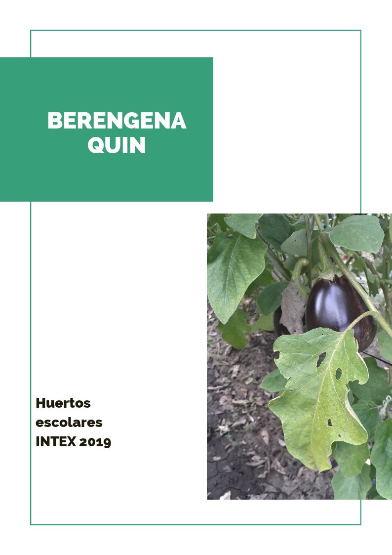 nayelie67471094's tweet photo. #Texistepeque
#HuertosEscolares
#INTEX2019
#VidaSana https://t.co/c3wOJFjDg3