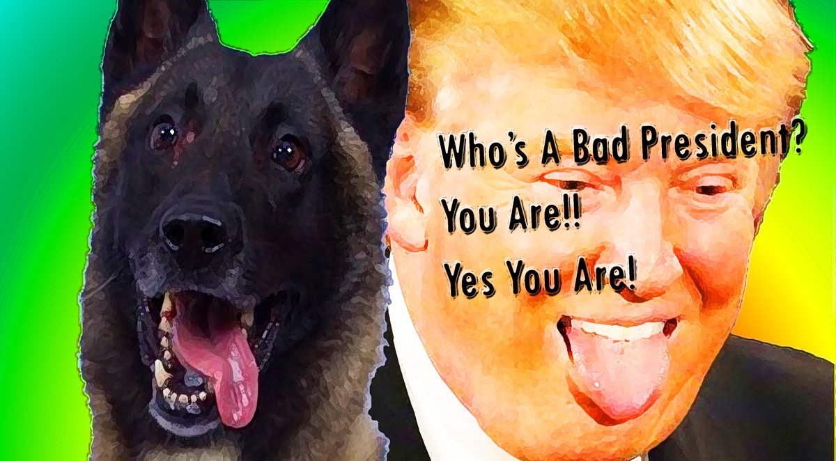 perreaoult1's tweet photo. Trump goes on Twitter tear after White House official condemns his Ukraine call https://t.co/xTvGzZLOuv via @politico "Purple Heart" #ImpeachTrump  #ImpeachmentTaskForce   Mans best friend  is a "Never Trumper" #DogsforImpeachment https://t.co/4rQLJimNti