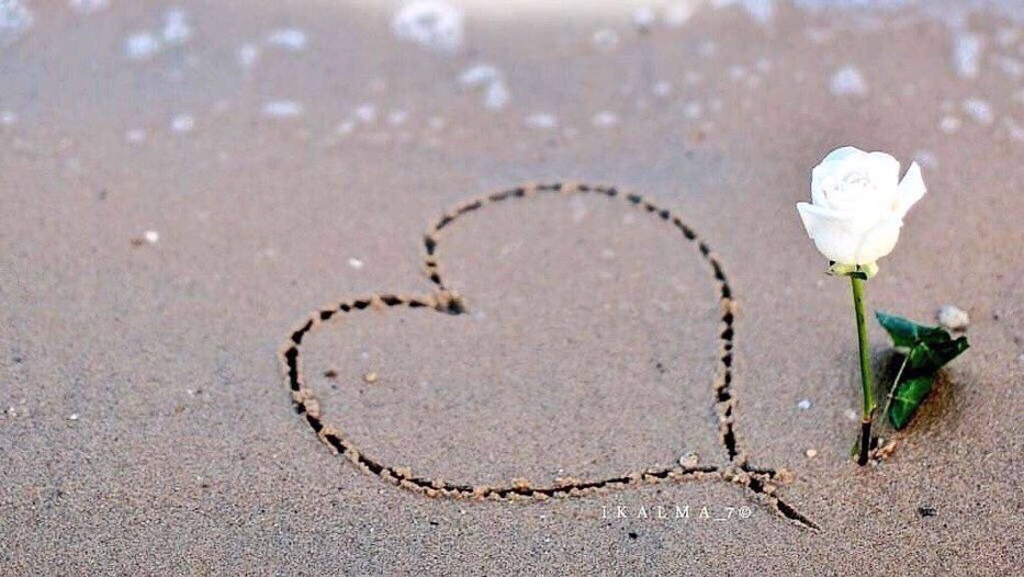 الأصدقاء الحقيقيون :
يصعب إيجادهم ، يصعب تركهم ويستحيل نسيانهم✨💜