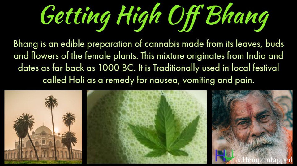 Hemp Untapped tweet media