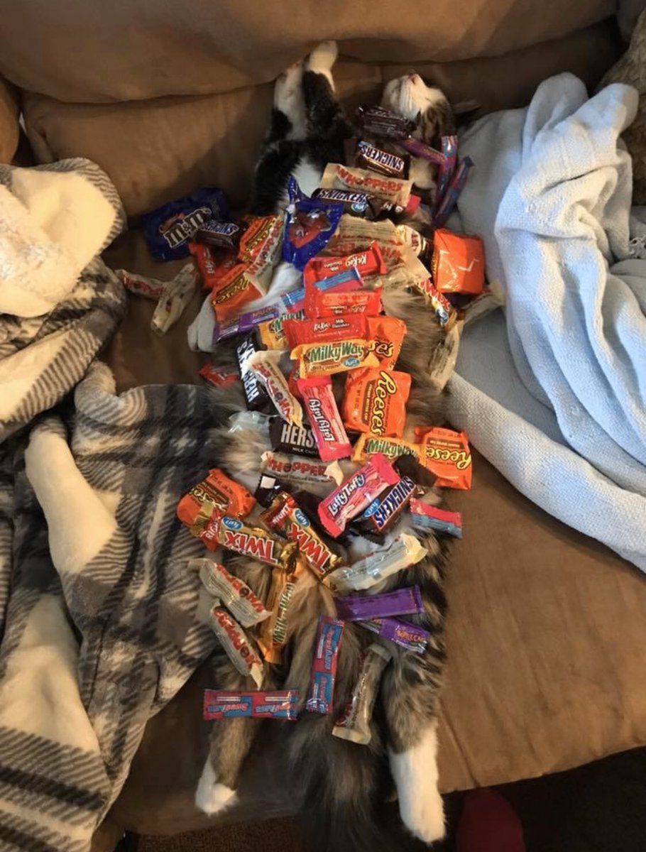 gw3nd01yn69's tweet photo. my family is fucking ridiculous https://t.co/38M9iWQDiX