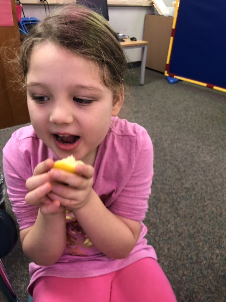 msmannsECS1's tweet photo. We read The Lemon Test in our Unique Learing lesson last week, we got 1 thumbs up! #uls #uniquelearning #sped #ecs @WCPSS_SES @SalemElementary https://t.co/ke0e25bcZA
