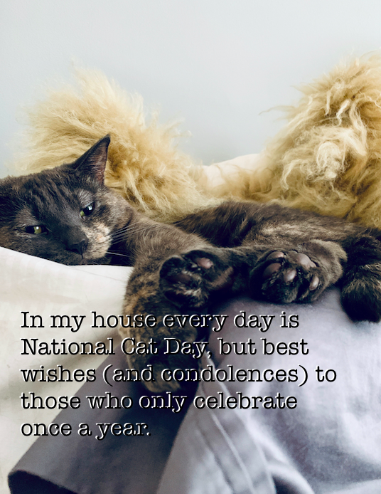 smallhappies1's tweet photo. Coco wants to wish everyone a happy #NationalCatDay and remind them that #ElectionDay2019 is just one week away! Local government matters and Coco would vote in every election if she could!!!
#CatsOfTwitter 
#CatsForWarren
#LocalElections https://t.co/s8sW9CcTcj