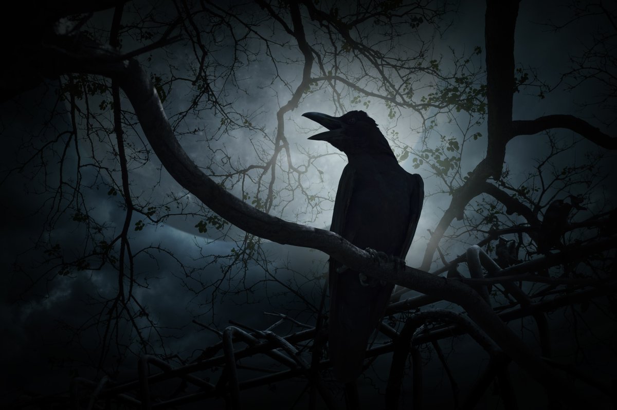 JDWandCoChelsea's tweet photo. 13 Nevermore Place, HE11|5 ghastly bedrooms, 2 eerie reception rooms and a spooky cellar |Finding your perfect home needn’t be a scary call to put your fears to rest £666,000 #halloweenatJDW #fakehouse #halloween #hauntedhouse #hauntedmansion #horrorhouse #spooky #abandonedhouse https://t.co/hN7XAwX4Dm