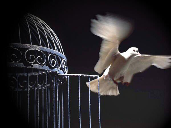 Aklın alır âşıkın,neşve-i humâr-ı aşk,

Gecesi gündüz olup doğar,mihr-i yâr-ı aşk