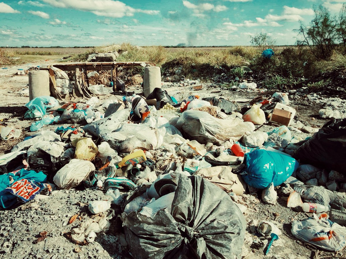 ¿Tirar la basura porque no pasa el camión recolector?

Ya son muchas semanas o meses en algunos casos en los que el camión recolector de la basura simplemente ha desaparecido, las familias ya no saben que hacer con tanta basura.

#matamoros #limpiezapublica