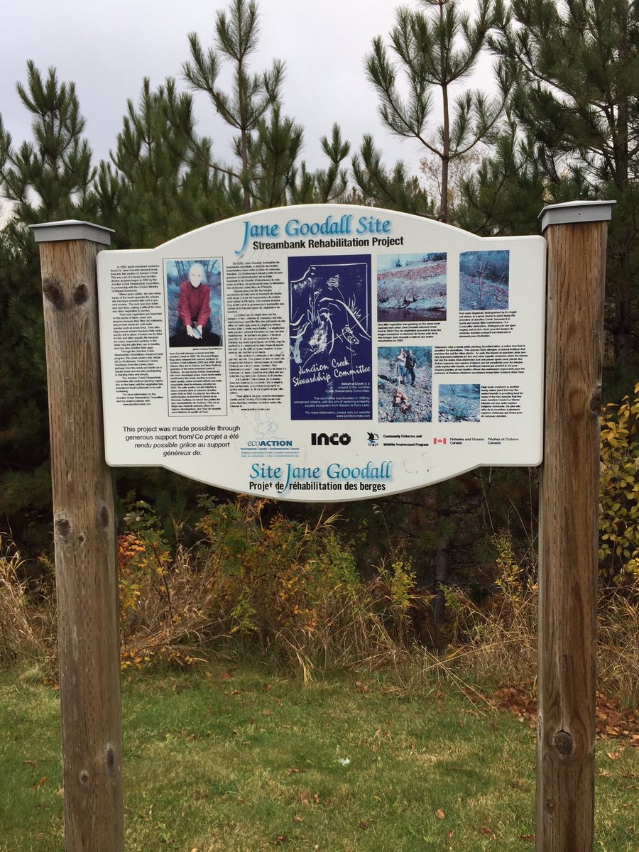 trm_comms's tweet photo. Urban hike for n4 of the #RRATrailChallenge! Exploring another section of Junction Creek after the more western #SudburyCamino bit. Nice main road alternative @Rainbow_Routes https://t.co/16hlytVgxI