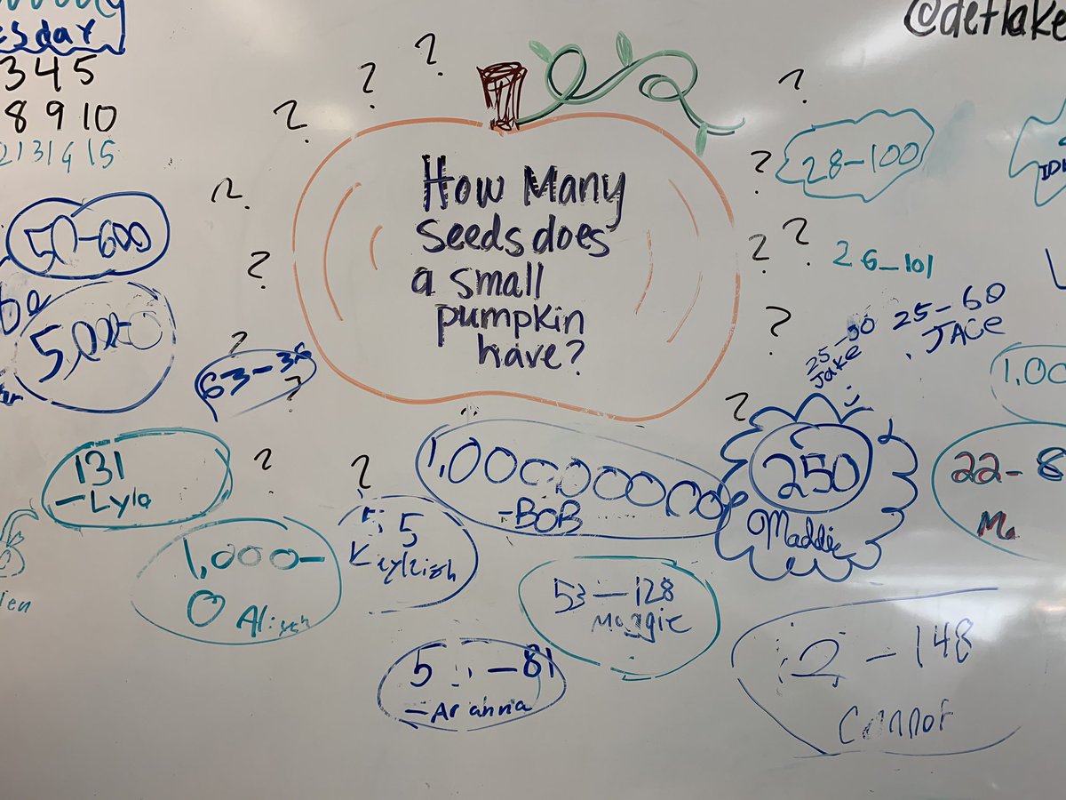 Collecting ALL the data on our pumpkins before we open them! How many seeds does a small pumpkin have?! Take your best guess! Stay tuned for the answer 🎃 #settingtheBahr #dlschools #KidsDeserveIt