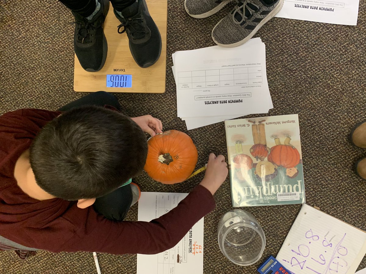 Bahr4th's tweet photo. Collecting ALL the data on our pumpkins before we open them! How many seeds does a small pumpkin have?! Take your best guess! Stay tuned for the answer 🎃 #settingtheBahr #dlschools #KidsDeserveIt https://t.co/XN7ubOqqfl