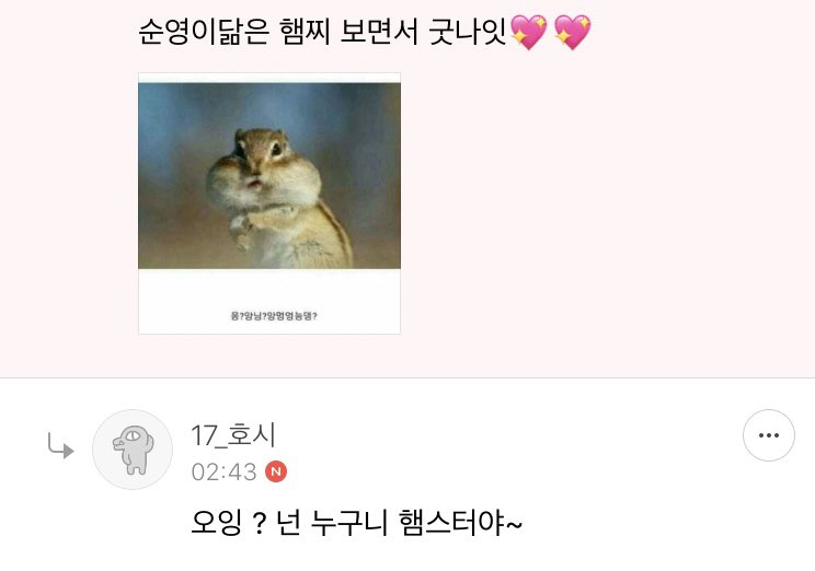 햄쮸 tweet media