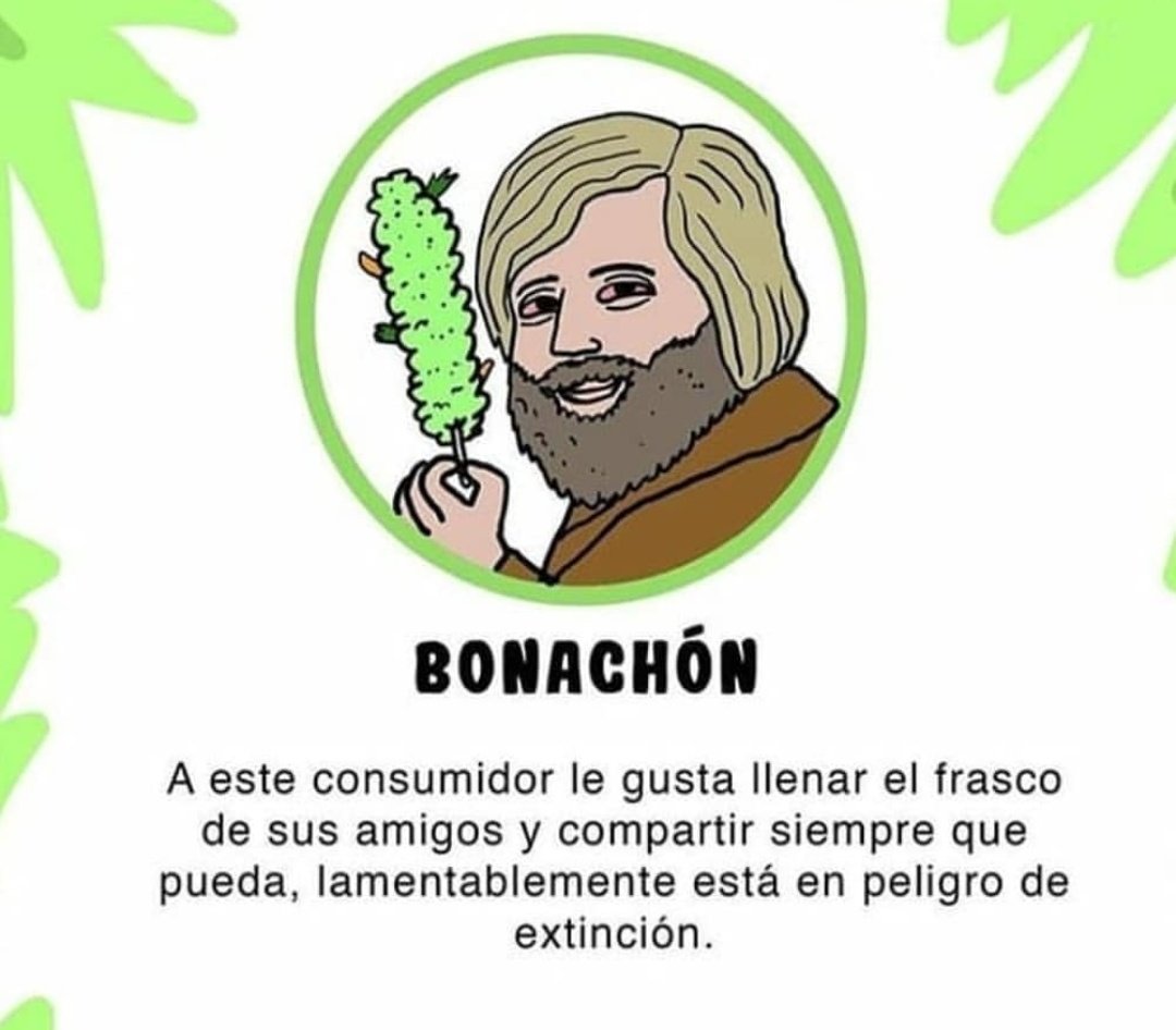 Tipos de fumetas.
Via : @VinesFumado