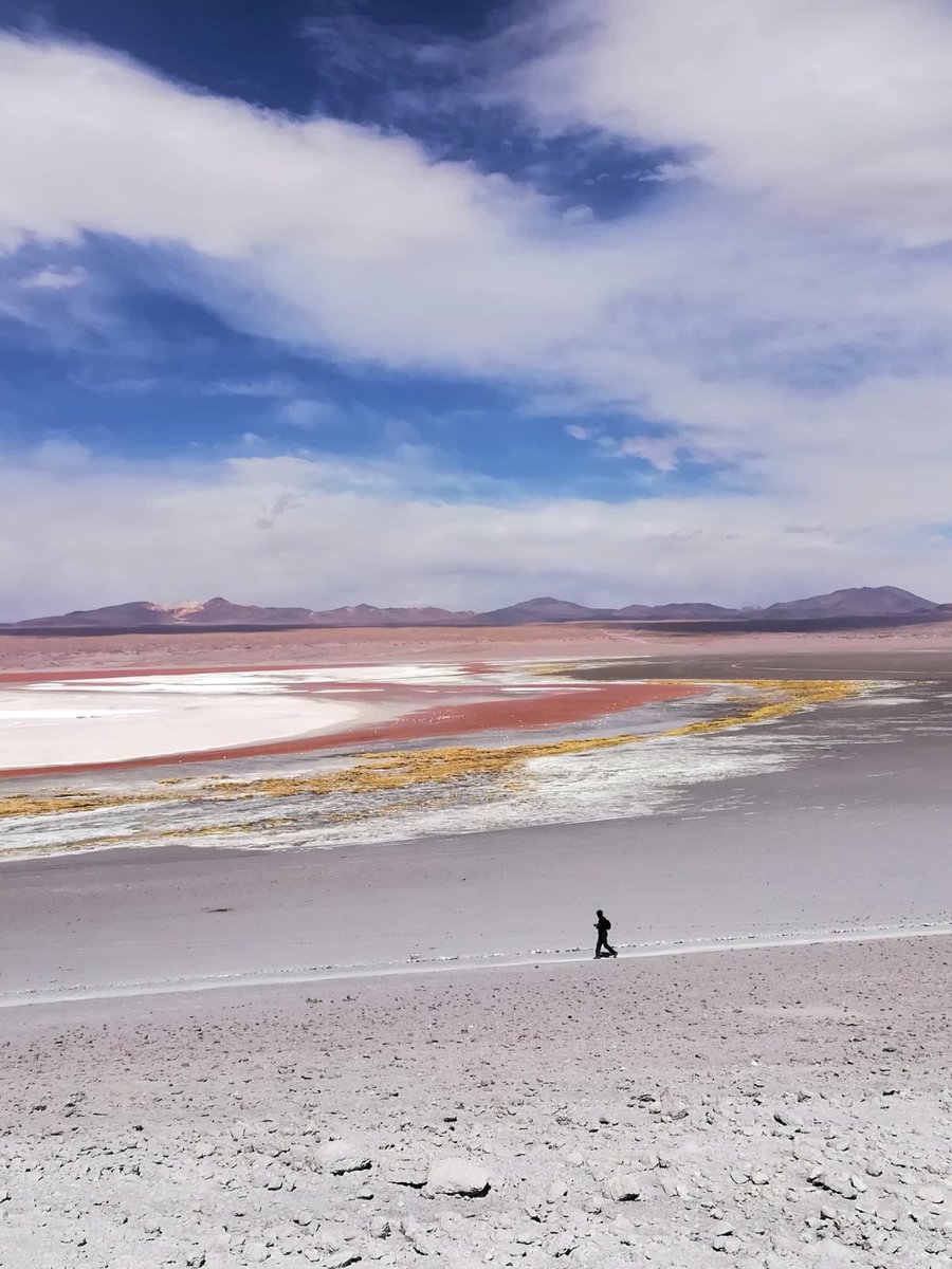 Les PieDs Nickelés en Amérique tweet media
