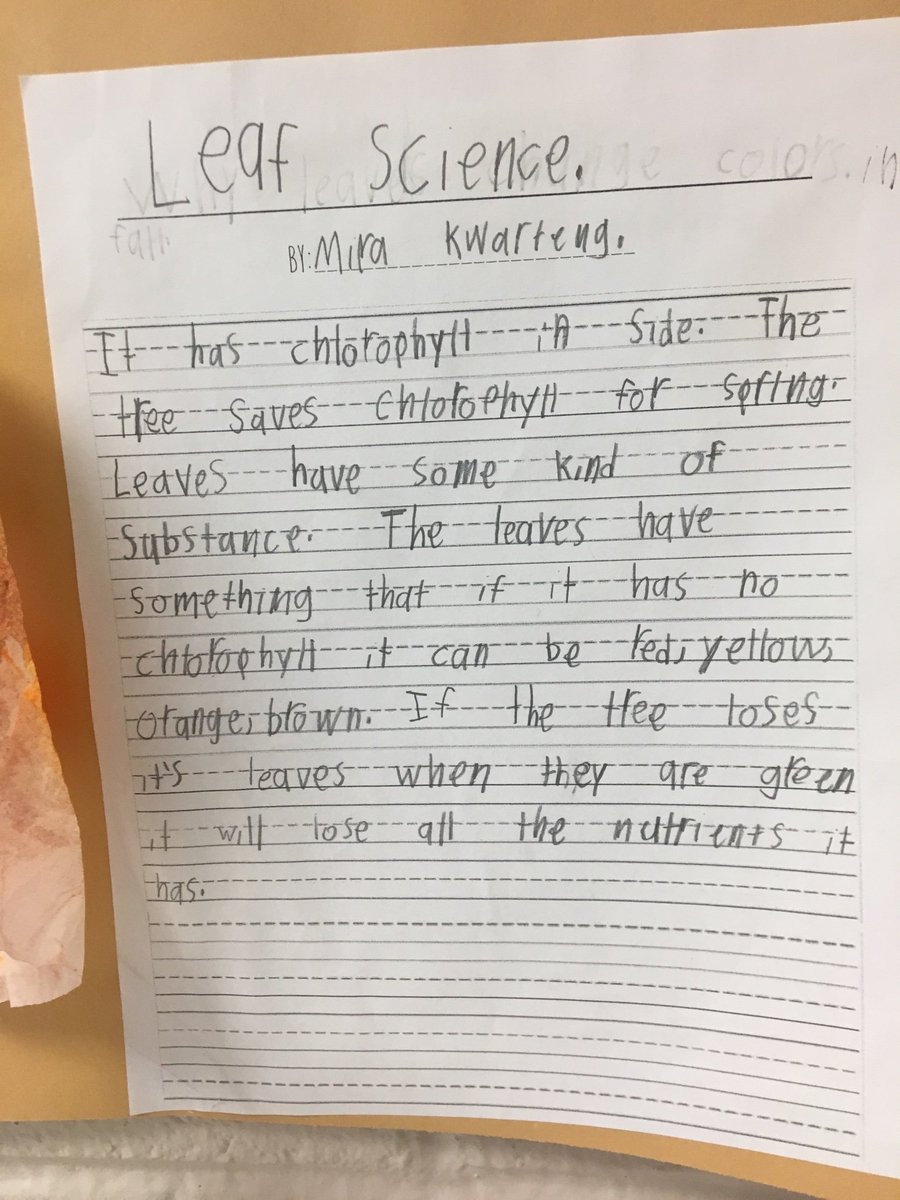laurenlashlee's tweet photo. Writing about science! Why do leaves change color? #leafscience #writingacrosscurriculum https://t.co/k55SKOAPui