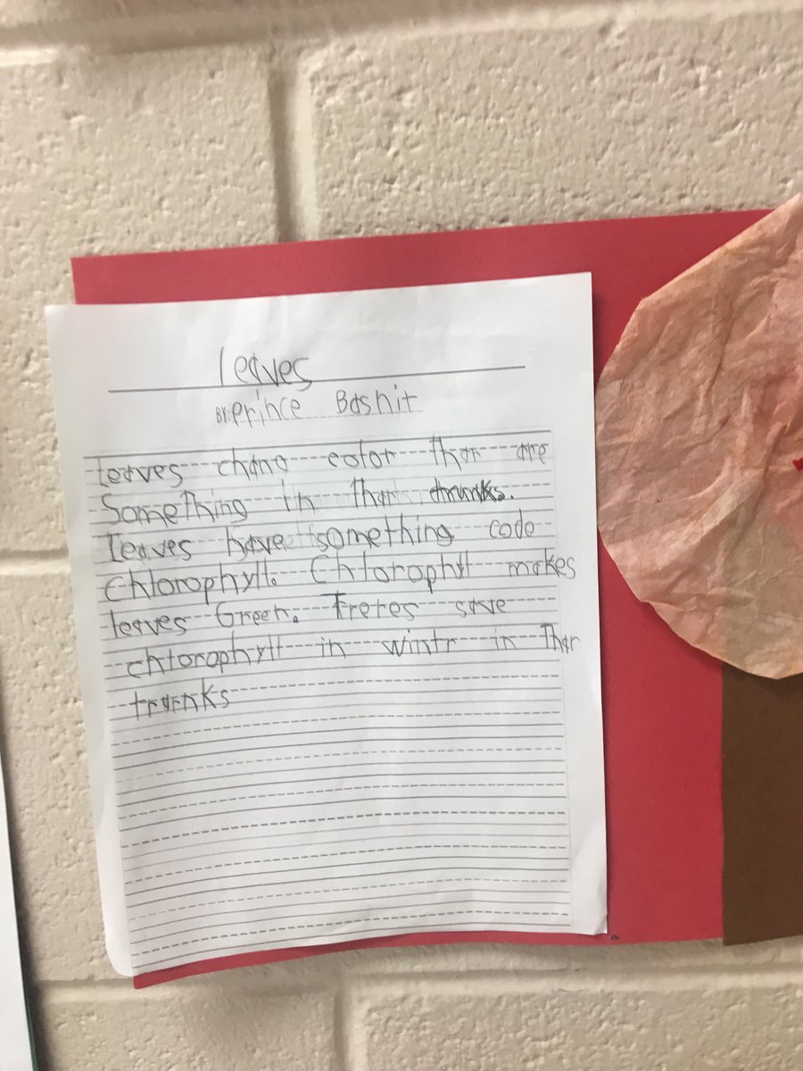 laurenlashlee's tweet photo. Writing about science! Why do leaves change color? #leafscience #writingacrosscurriculum https://t.co/k55SKOAPui