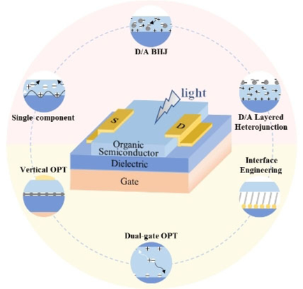 ChemPhotoChem's tweet image. Progress in organic #phototransistor development, including #semiconductor materials, device structures+optoelectronic applications, reviewed by Li, Ji et al. doi.wiley.com/10.1002/cptc.2…