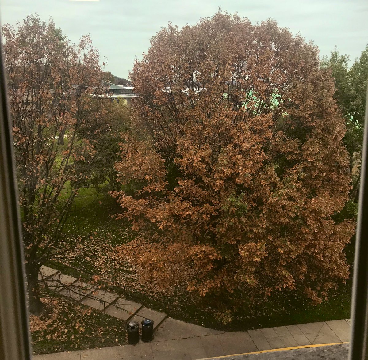 StephenMaryTOR's tweet image. Cloudy day #libraryviews