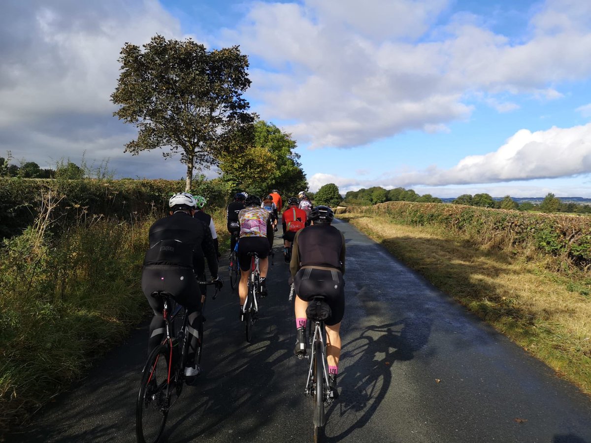 Hotchillee tweet media