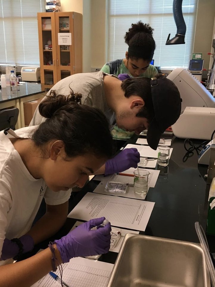 “I was able to present my research at UoB's Conference in Niagara Falls. This was one of the best experiences I've had in my life; I don't think I would have been able to go if it weren't for McNair." -Vynna Chitolie, Baylor McNair. Hear more here: instagram.com/p/B4LKzufDMvD/