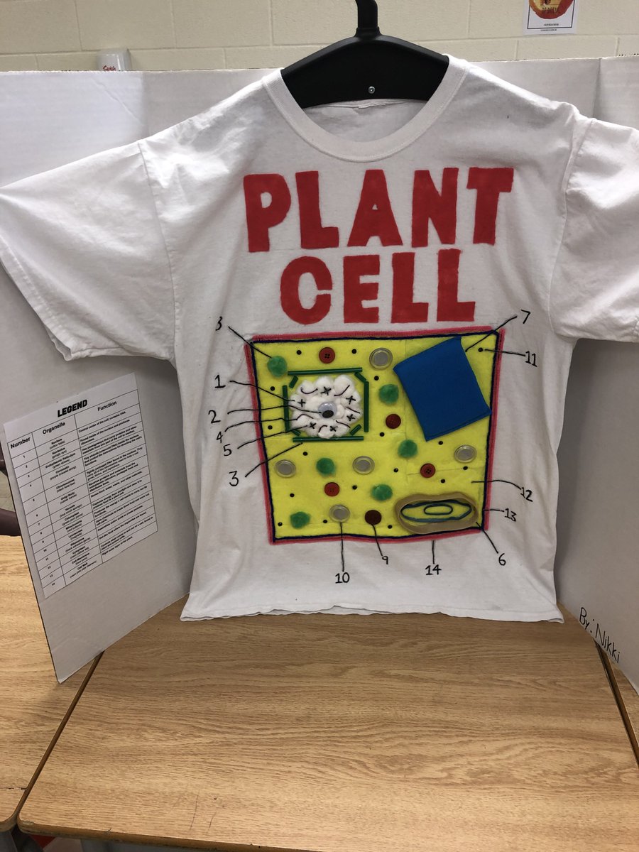 oakridgesps's tweet photo. Learning with our Grade 8s about Plant and Animal Cells! Amazing Creativity and Student Vision @oakridgesps #science https://t.co/X4QkurSgkj