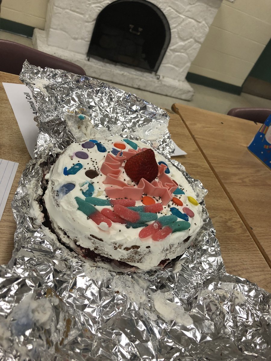 oakridgesps's tweet photo. Learning with our Grade 8s about Plant and Animal Cells! Amazing Creativity and Student Vision @oakridgesps #science https://t.co/X4QkurSgkj