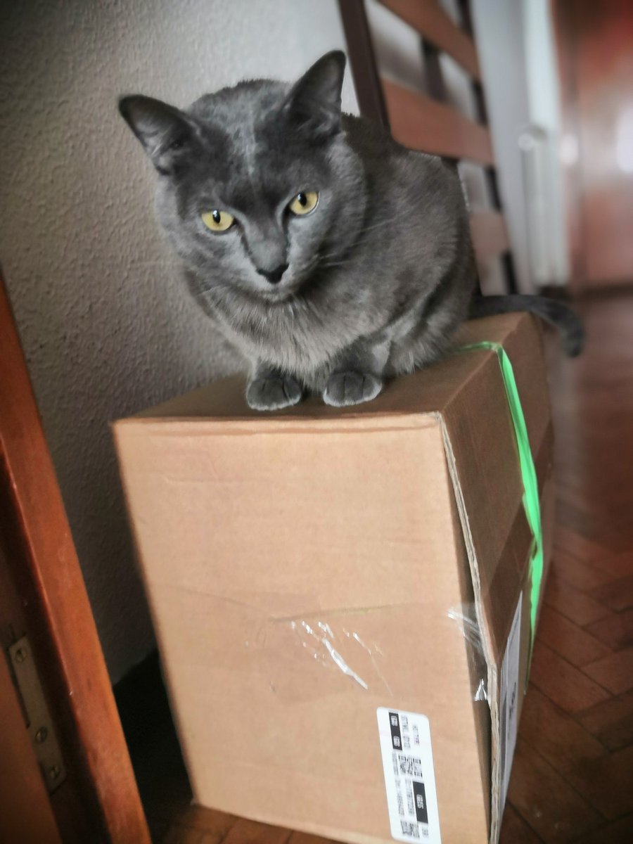 Cuando llega mi comida a casa. #affinitypetcare <a href="/trnd_es/">trnd España</a>   #advance