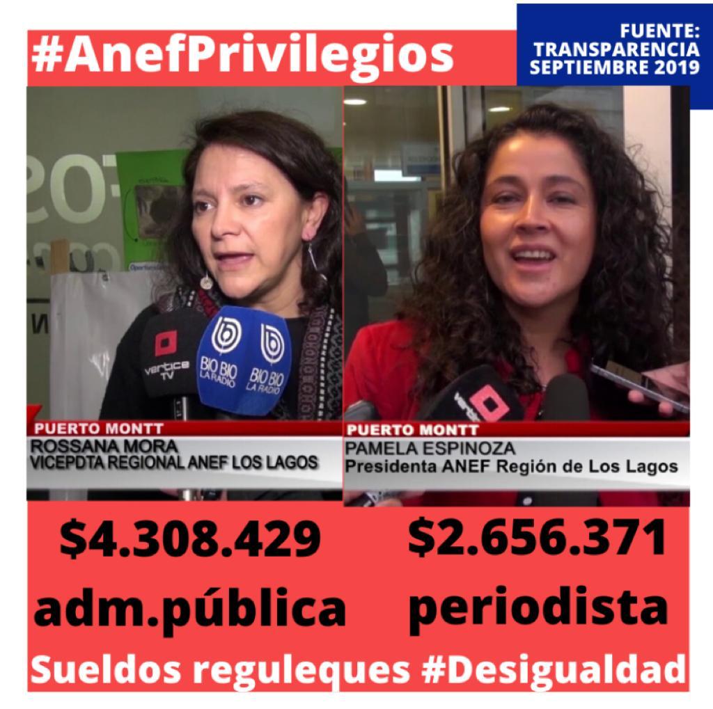 INACEPTABLE!!! Me gustaría saber si estos sueldos de la ANEF son reales o no.. Si esto es real y estan reclamando por "Desigualdad", Su discurso valdría una verdadera porquería!! 💪🏼🇨🇱 #AnefPrivilegios