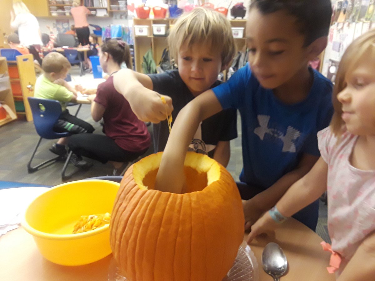 SvandeErve's tweet photo. Cleaning out the class pumpkin! #harborviewes @HarborViewES https://t.co/VUfI0VYCPG