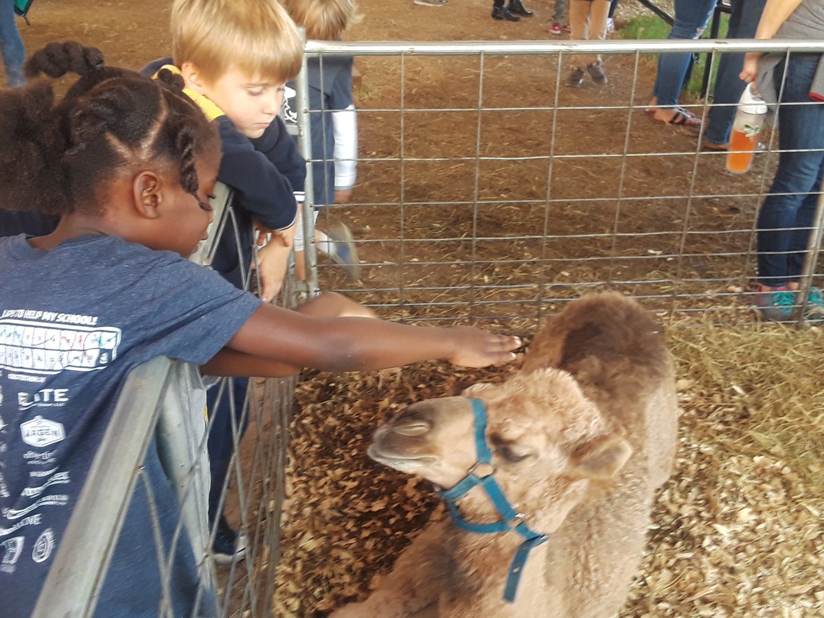 SvandeErve's tweet photo. Pumpkin Patch Fun!#harborviewes https://t.co/WBt3HKznzO