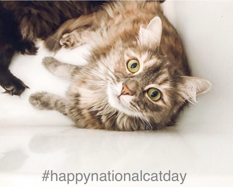 Bath Fitter of Wichita (BathFitterICT) Twitter