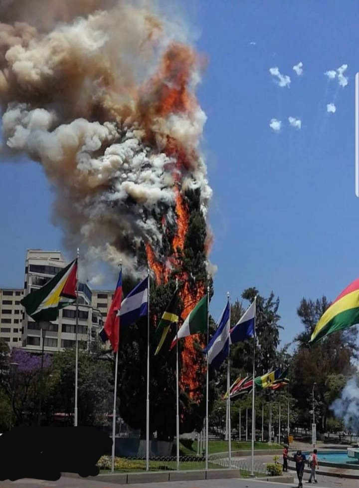 En Cochabamba se quema un árbol en la plaza de las banderas, vecinos  indican que fueron  grupos violentos opuestos la demanda democrática que intencionalmente están quemando en varios puntos.
Después de la pena de la quema de la chiquitanía esto es una barbaridad.