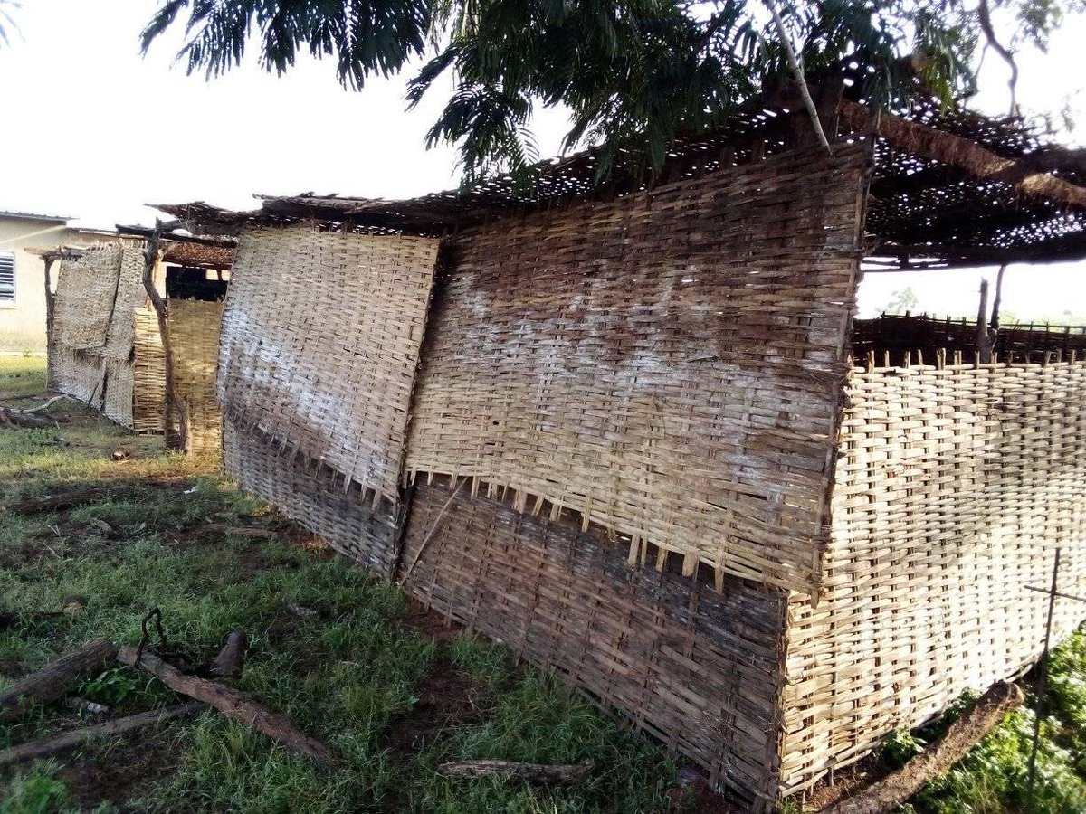 samboubodian's tweet image. Ces classes sont celles du lycée de Oulampane/Bignona

L&apos;établissement en compte 4,et les populations veulent en construite 3 autres pareilles pour espérer scolariser tous les inscrits.En 2019 des lycéens étudient dans des huttes. Apparement l&apos;éducation n&apos;est pas une priorité!