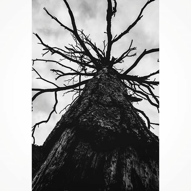 HallsworthHelen's tweet photo. .
.
.
.
.
#fifty_shades_of_darkness #moody_tones #masters_of_darkness #gloomy_side_views #renegade_dark #ethereal_moods #gallery_of_dark_souls #gallery_of_dark_arts #souls_hunters #dark_infinity 
#rebel_artandedits #moody_captures #sombresociety #fancygo… https://t.co/arLV9gVVL9 https://t.co/JtWqXwkekC