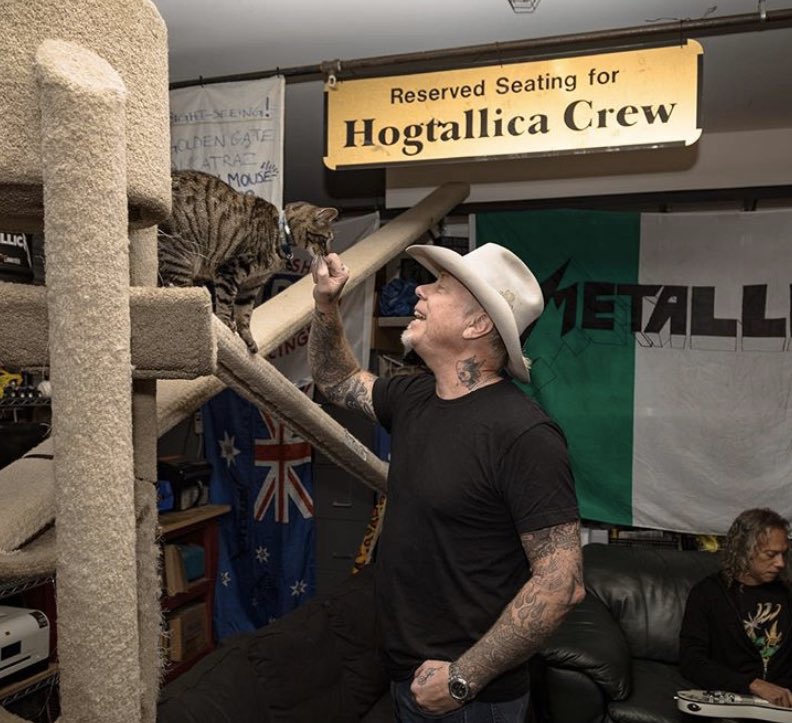 doooooy's tweet photo. HQにはいつのまにかキャットタワーも作られてたのか〜🐈 RT @TheMetalliHat 10/29: #NationalCatDay 😺 #MetalliCats #MetalliHat 🤠 #Metallica #JamesHetfield #PapaHet https://t.co/3d071lOV2i