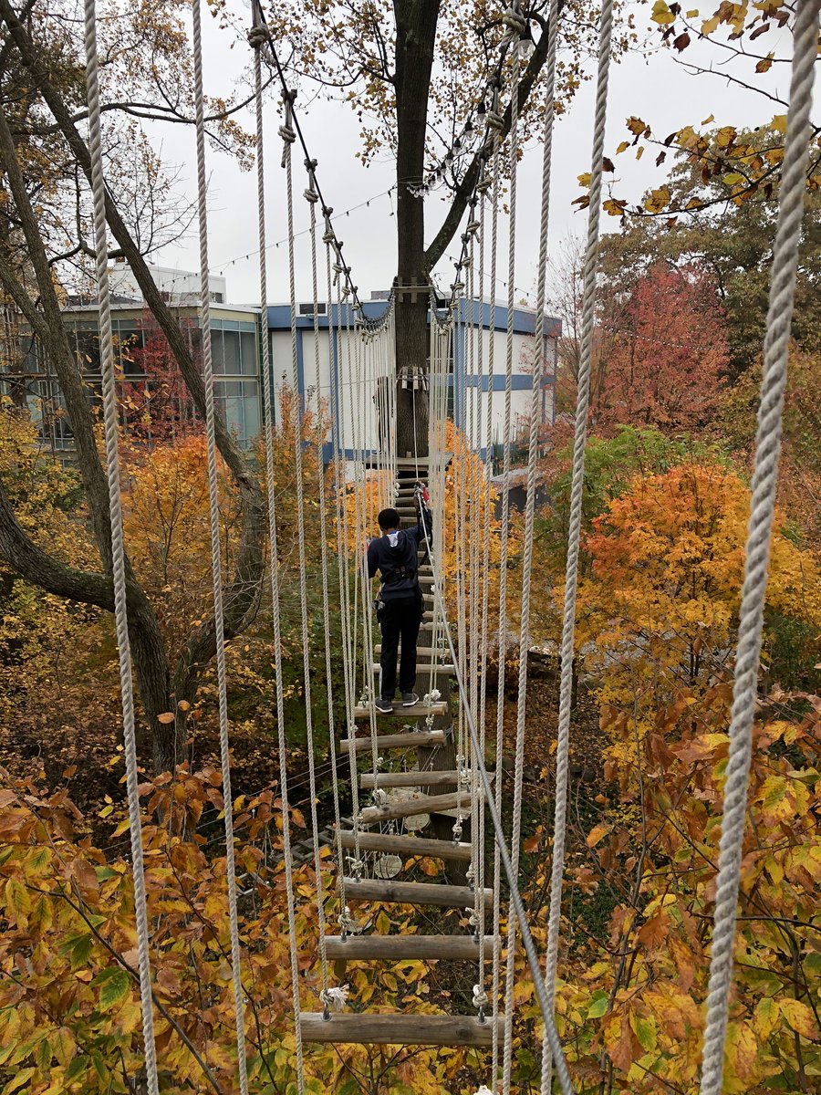 Kevin Krois tweet media