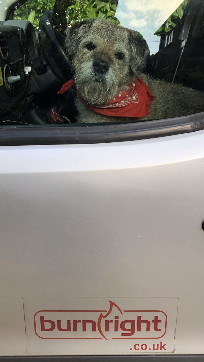 Check out <a href="/BurnRightUK/">Burnright</a> for sound advice for using solid fuel. #chimneysweep <a href="/GomcsInfo/">GOMCS</a> <a href="/burleyfires/">Burley Appliances Ltd</a>