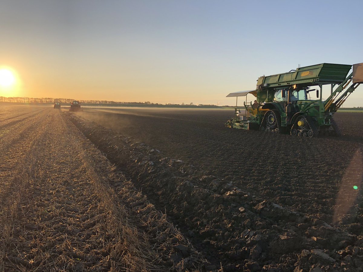 Plantenseizoen is weer van start! 🌷