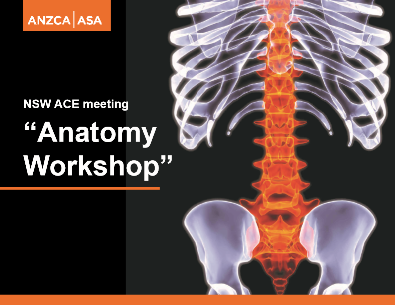 Join our full day of #anatomy demonstrations. Sat 30 Nov at the University of Sydney. Specimens were prepared by an anatomist specifically for #anaesthetists. Participants may claim the #CPD points. Spaces are limited. Register today. anzca.edu.au/about-anzca/co…