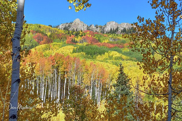 DMPhotographyCO's tweet photo. New artwork for sale! - "Kebler Pass in her Glory" - https://t.co/2cUjo08UD7 @fineartamerica https://t.co/1UloqizsLT