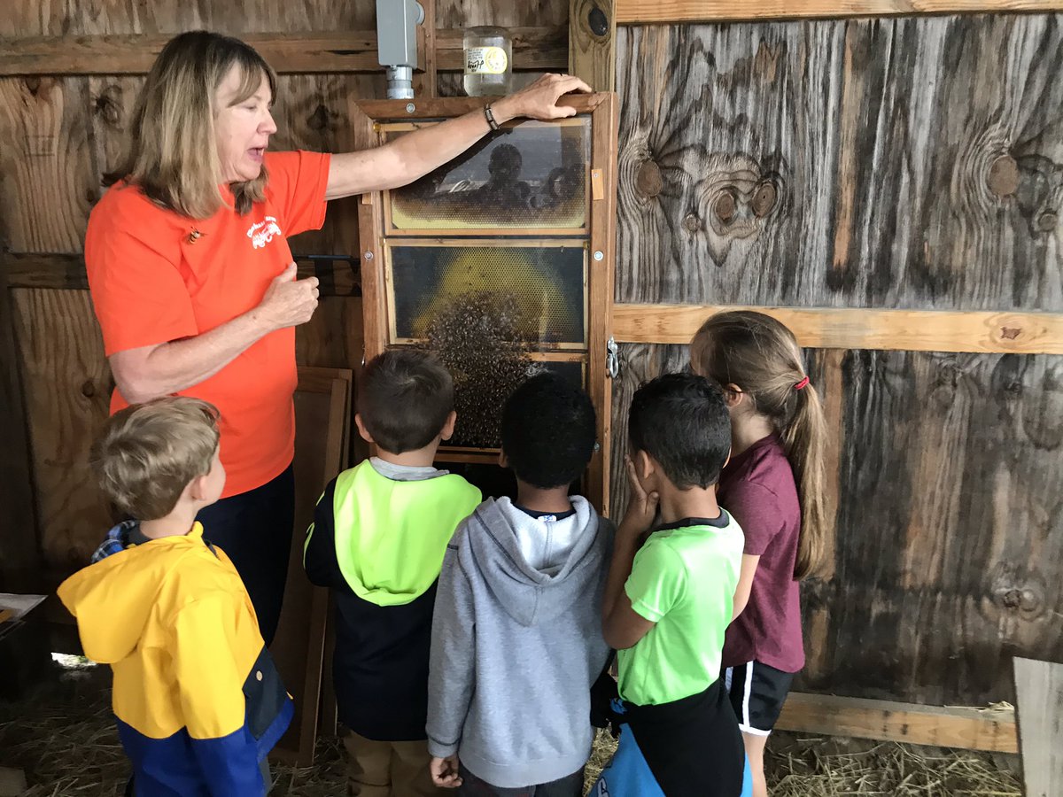 nmiller_class's tweet photo. We had a fun trip to Clinton Sease Farms learning about pumpkins! @WhiteKnollElem https://t.co/OLKXnjVXwN