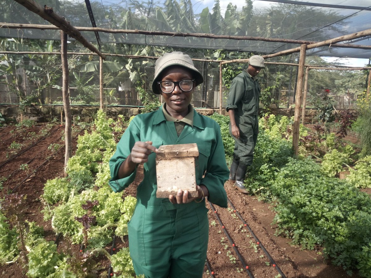 arnold_olando's tweet photo. @cirunjoroge @GhettoRadio895 @olololodge We stand for human right to food ..we stand against politics of hunger and all the vices that led to poverty in women and choose to stand for the better production of organic food consumption and production. https://t.co/USoujKtzh7