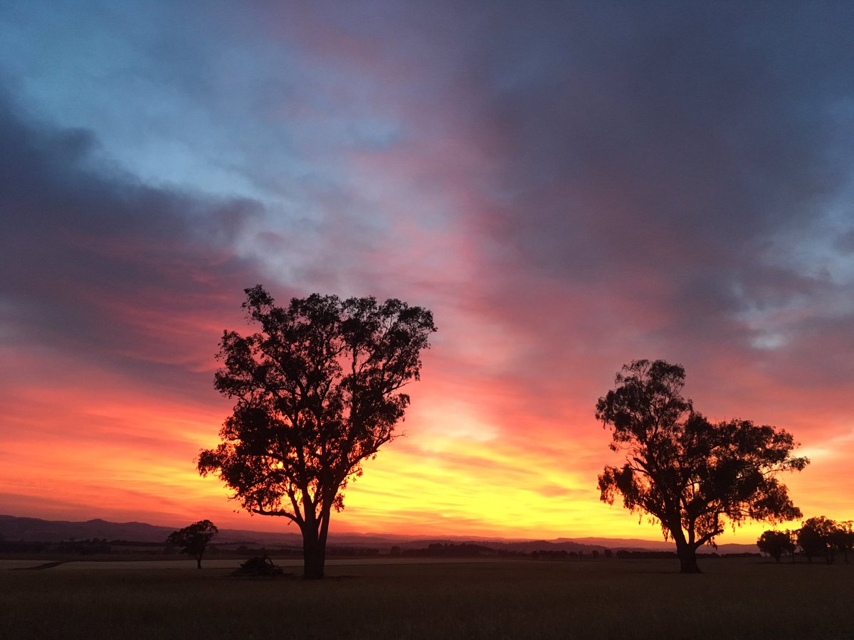 Cranking sunrise for bird surveys near Eurongilly this morning!