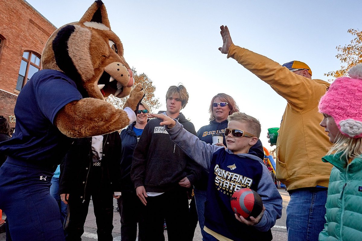 montanastate's tweet photo. Happy #NationalCatDay to #MontanaState's most loved cat... Champ! 💙💛 https://t.co/403bAxNX39