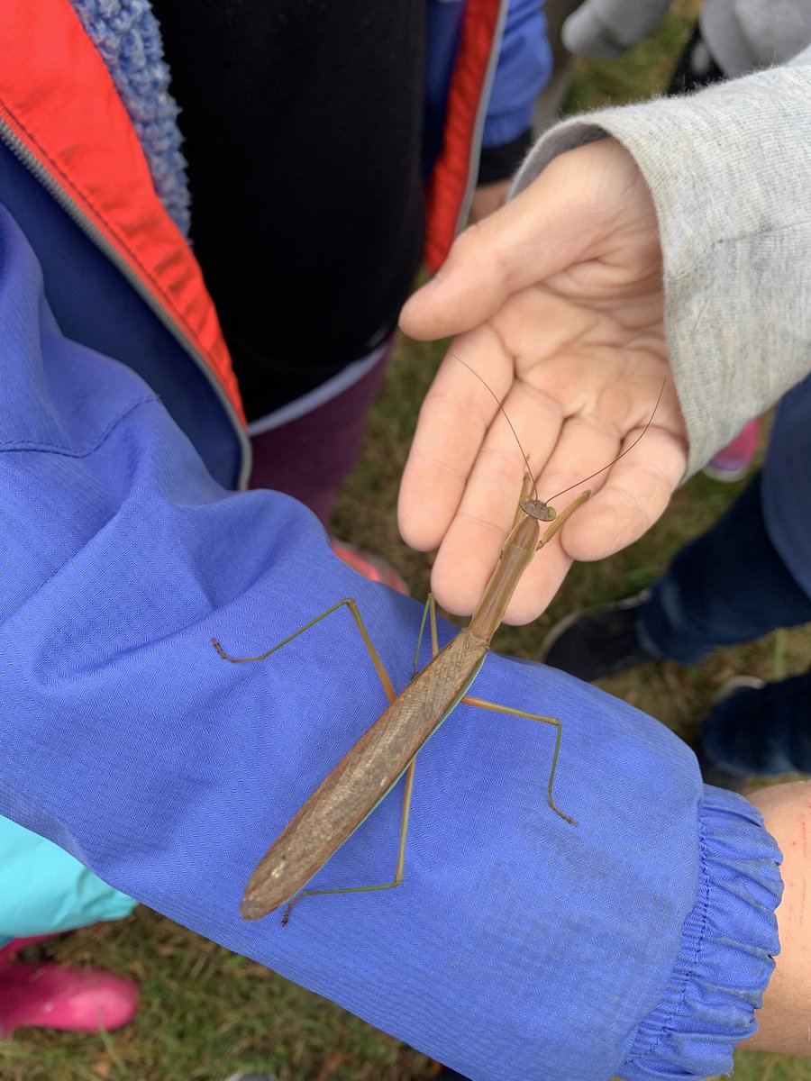 Marybeth Orlowski tweet media