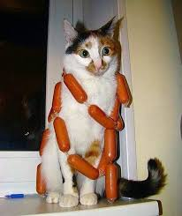 selkie_siren's tweet photo. It's #NationalCatDay and #sausageweek so . . . https://t.co/ywAMQdiizf