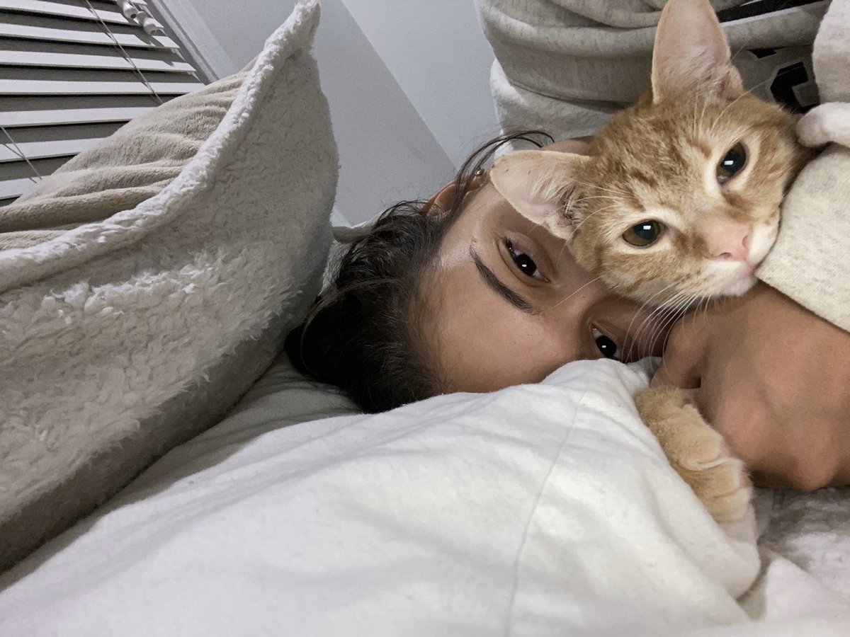 Alexserna26's tweet photo. Since it’s #nationalcatday2019 here’s my favorite pictures of my lil croissant 💕🥰 https://t.co/2mn9lK0cKa