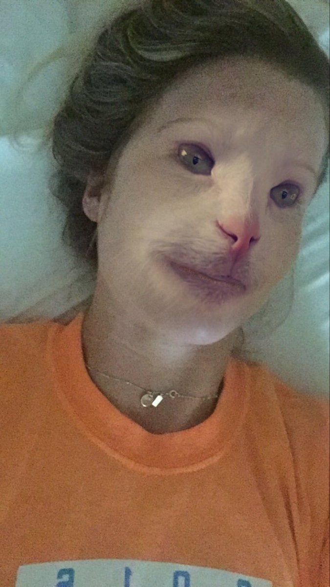 Happy National Cat Day 😹